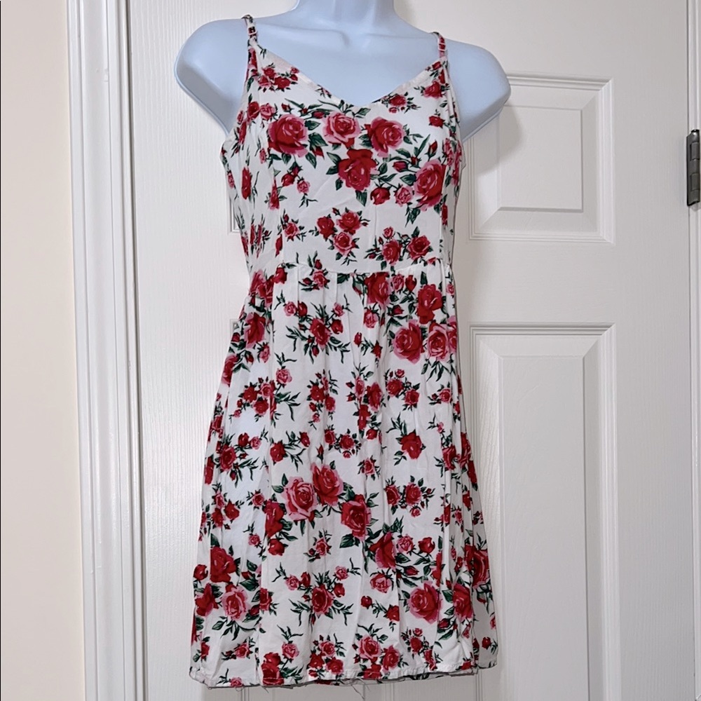 H&M Rose Print Dress (EUC)